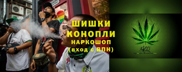 трава Гусиноозёрск