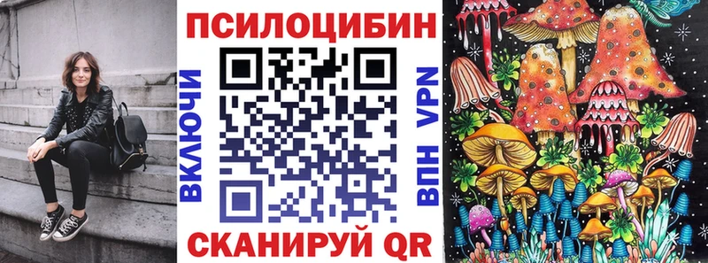 Псилоцибиновые грибы мицелий  Плавск 